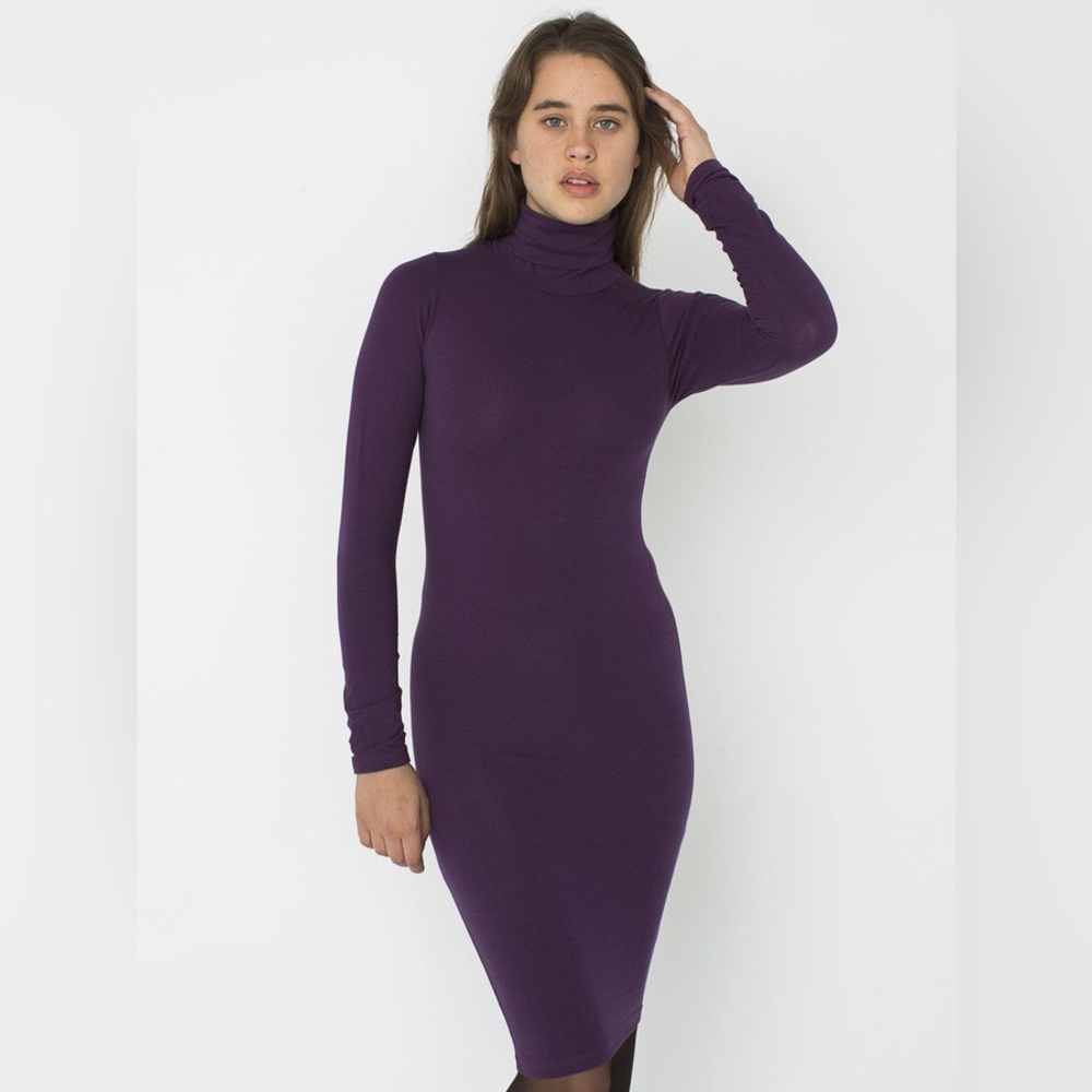 American Apparel Turtleneck Dress